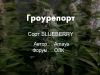 BLUEBERRY �� XSEEDS